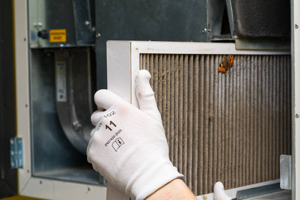 Best Air Quality Test  in Weatherby Lake, MO